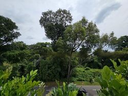 Whitley Road (D11), Terrace #452330421